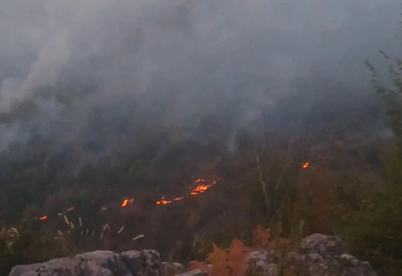 Veliki požar kod Trnova proširio se na minsko polje, vatrogasci brane kuće