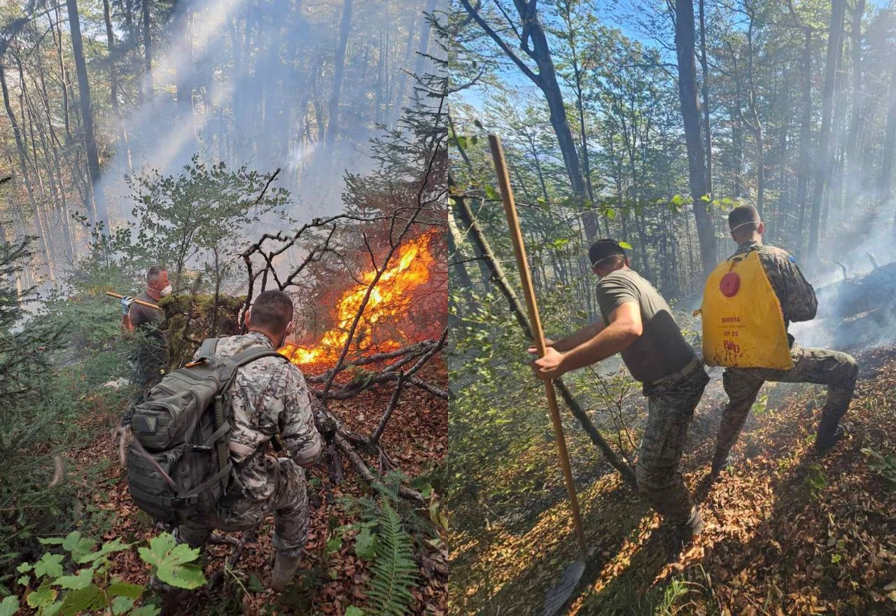 Oružane snage BiH angažirane na više požarišta