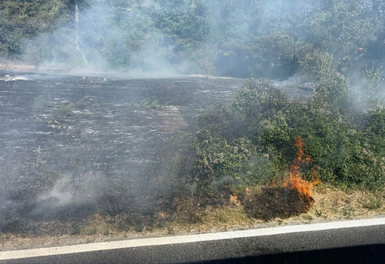Izbio požar uz M-17 kod Konjica, promet otežan