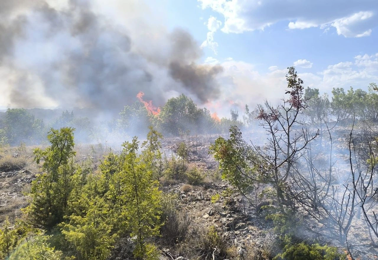 Gori kod Čitluka, vatra se širi prema Popovićima