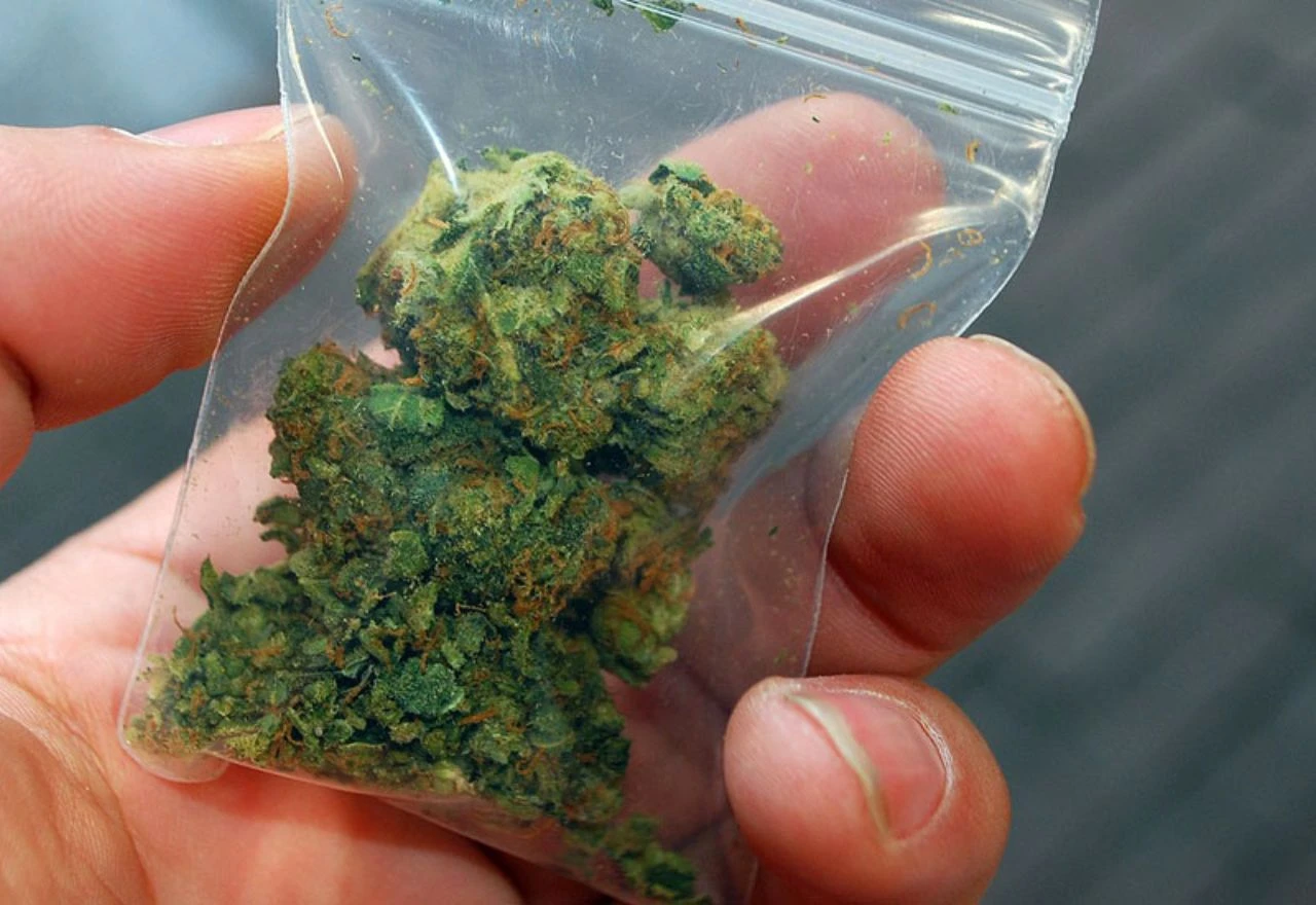 Kod Ljubušaka pronađena marihuana