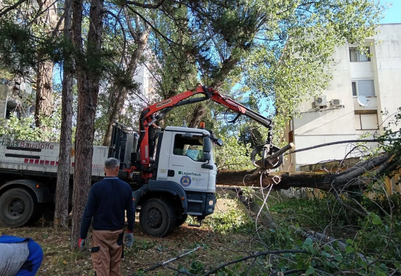 Vjetar u Mostaru srušio stablo, djelatnici Komunalnog sanirali posljedice