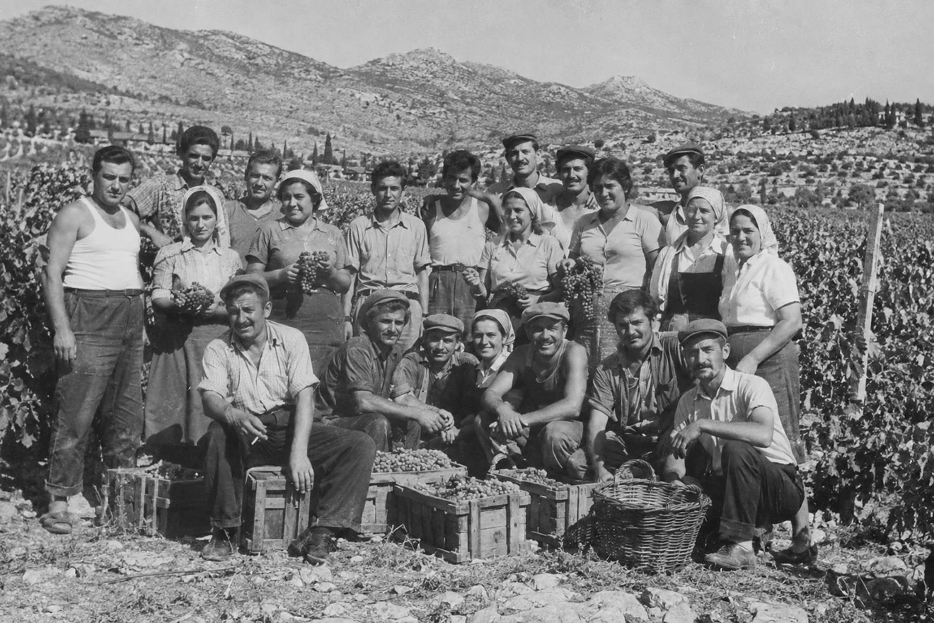 Vizija Osmana Pirije: Kako je Hercegovina trebala postati ''obećana zemlja''