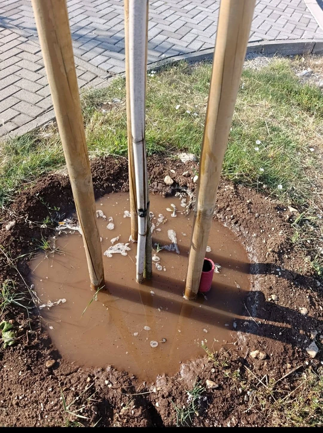 Nastava je počela, komunalci krenuli uređivati grad