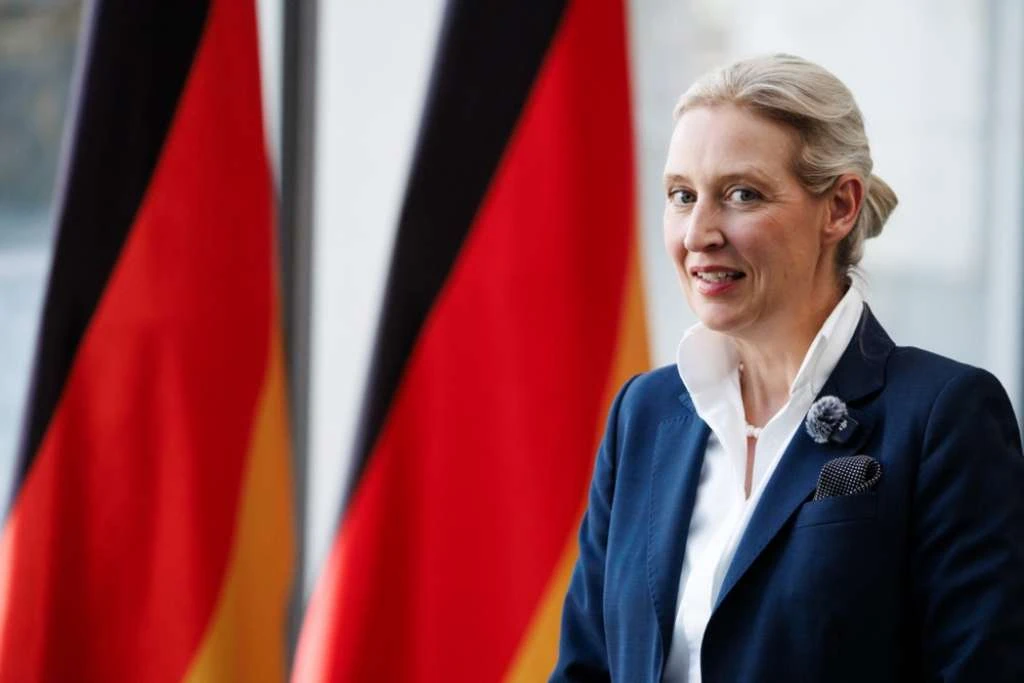 AfD uvjerljivo prvi, Merzov CDU tone na 18 posto