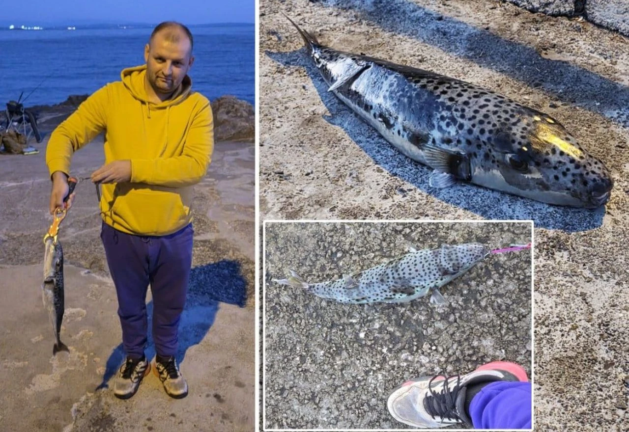 Ribar u Hrvatskoj iz mora izvukao najsmrtonosniju ribu na svijetu
