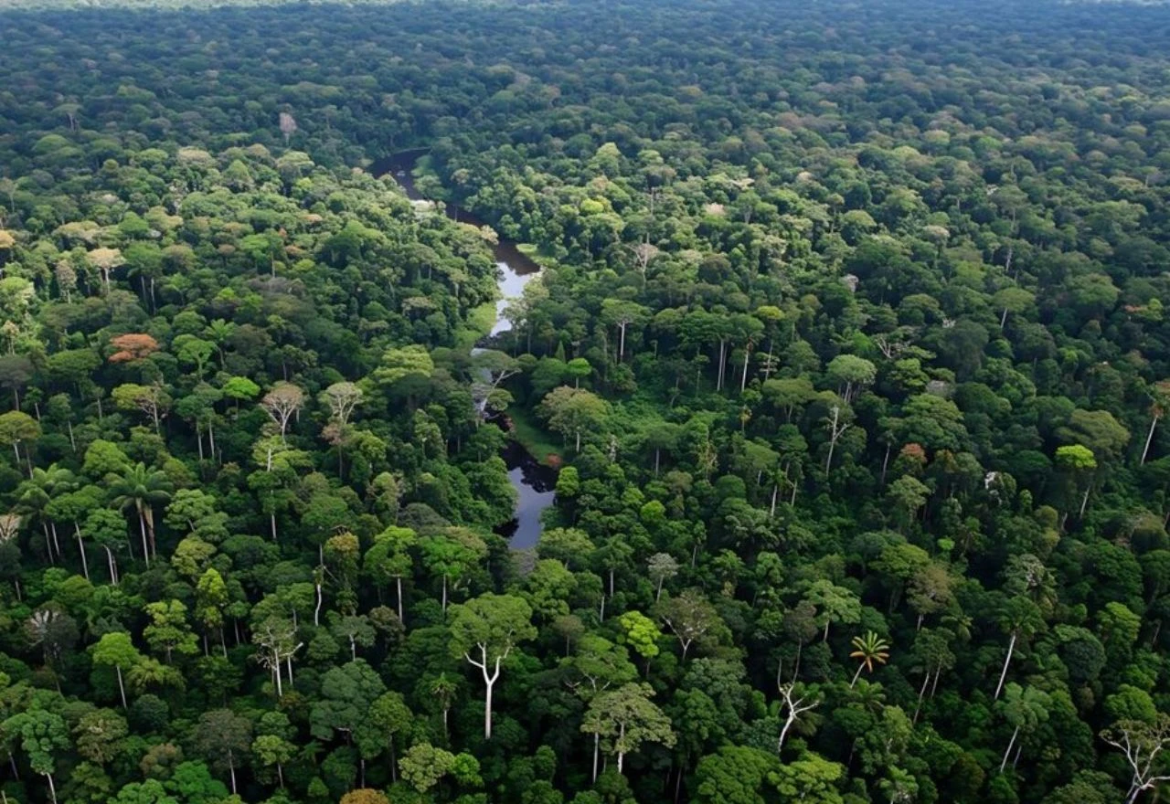 38 godina živi sam u amazonskoj prašumi: Pogledajte kako izgleda njegov život u izolaciji