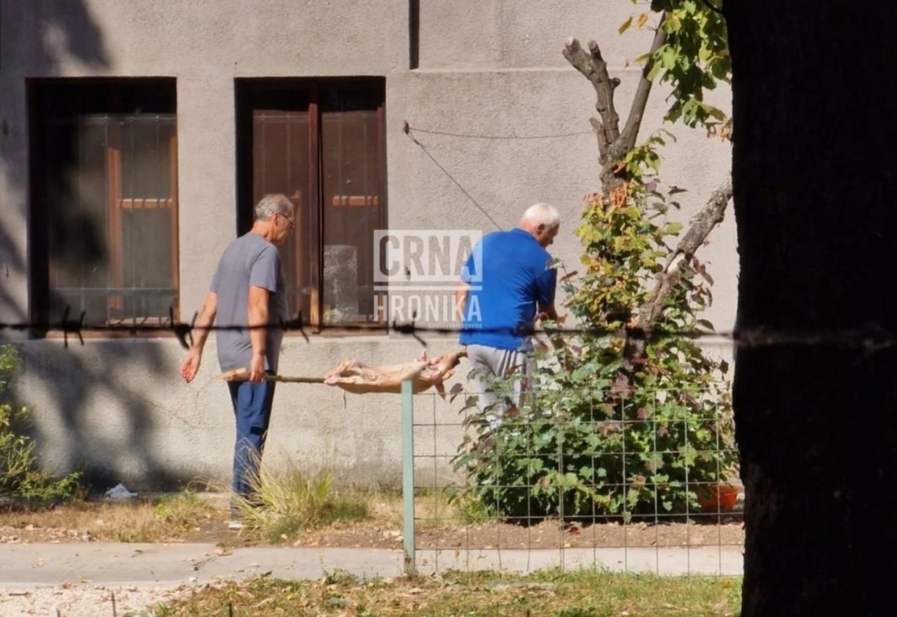 VIDEO | Pekli prase na ražnju uz Zemaljski muzej u Sarajevu