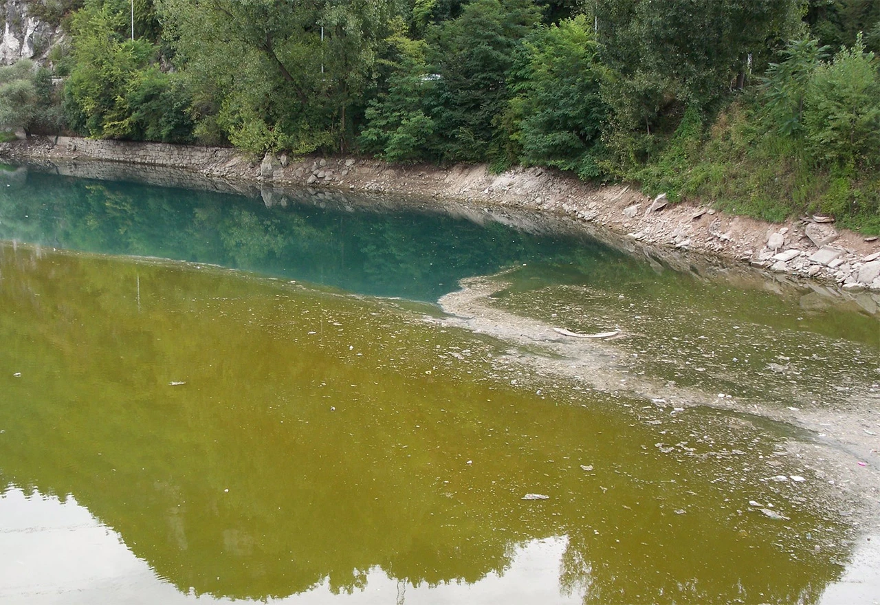 Stručnjaci upozoravaju: Jablaničko jezero prolazi kroz progresivnu eutrofikaciju