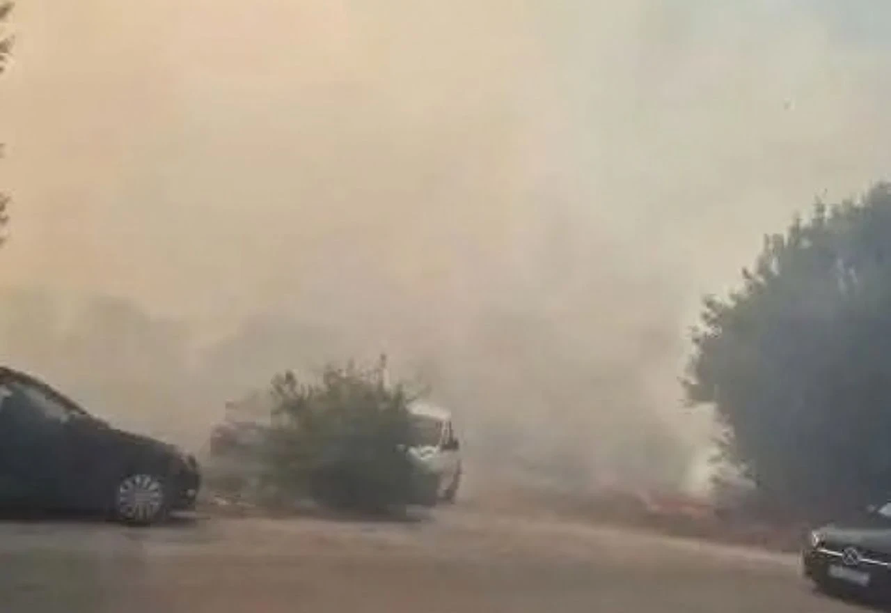 VIDEO | Požar kod Gruda: Gori šuma, gust dim prekrio cestu