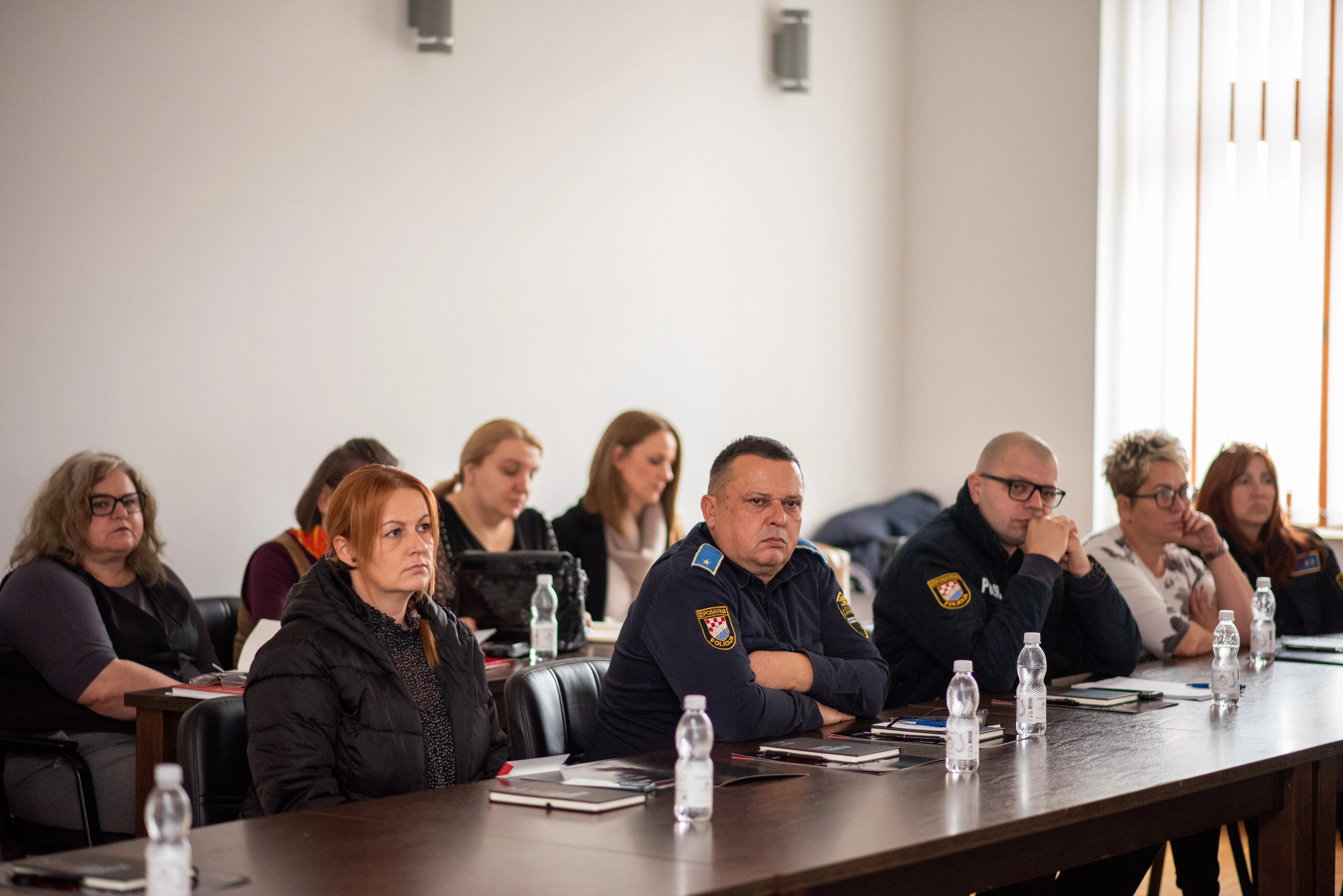 Nova pravila za policiju u slučajevima nasilja u obitelji i nad ženama