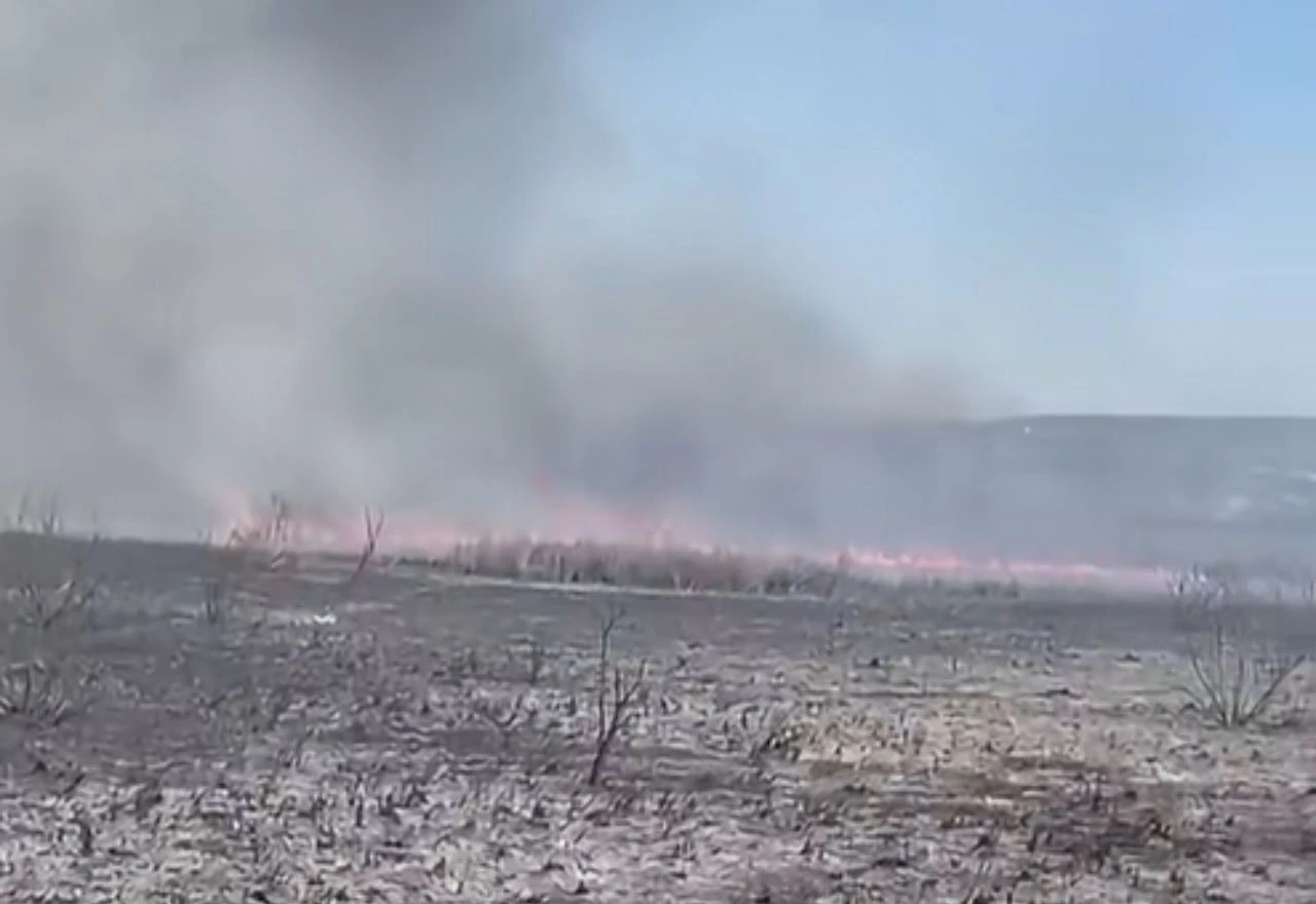 VIDEO | Vatrogasci pet sati gasili požar na Mostarskom blatu