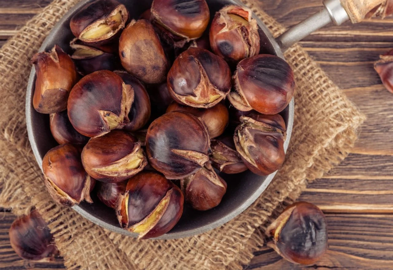 Nije svaki kesten za jelo: Jedna vrsta je otrovna, a druga je puna vitamina i minerala