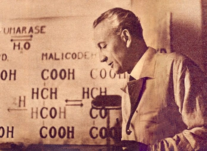 Neobičan životni put znanstvenika koji je otkrio vitamin C