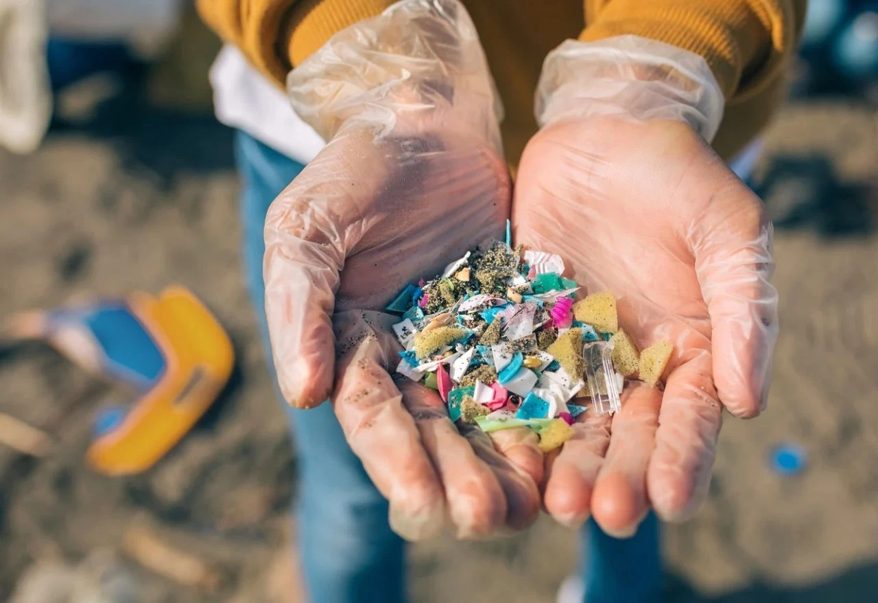 Plastika u zemlji, vodi i hrani: Mikroplastika je svuda oko nas, ali koliko znamo o njoj?