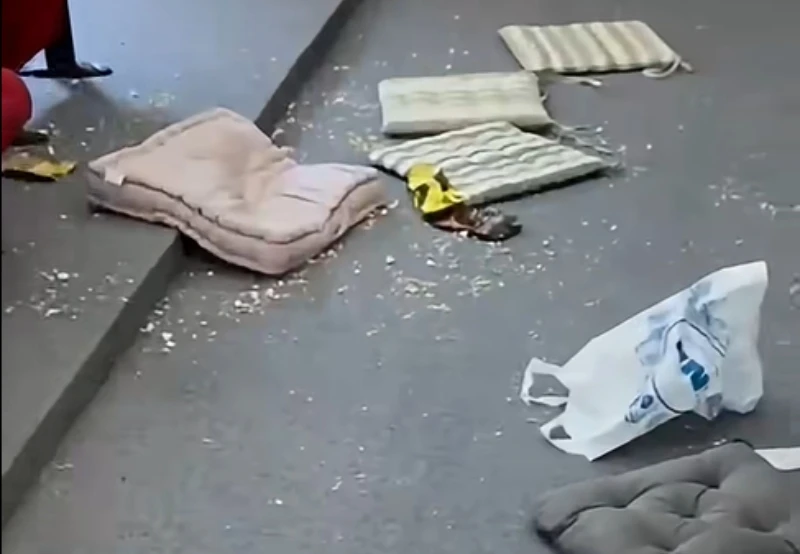 Radnici kina objavili videosnimku: Ovako izgleda dvorana nakon projekcije crtića