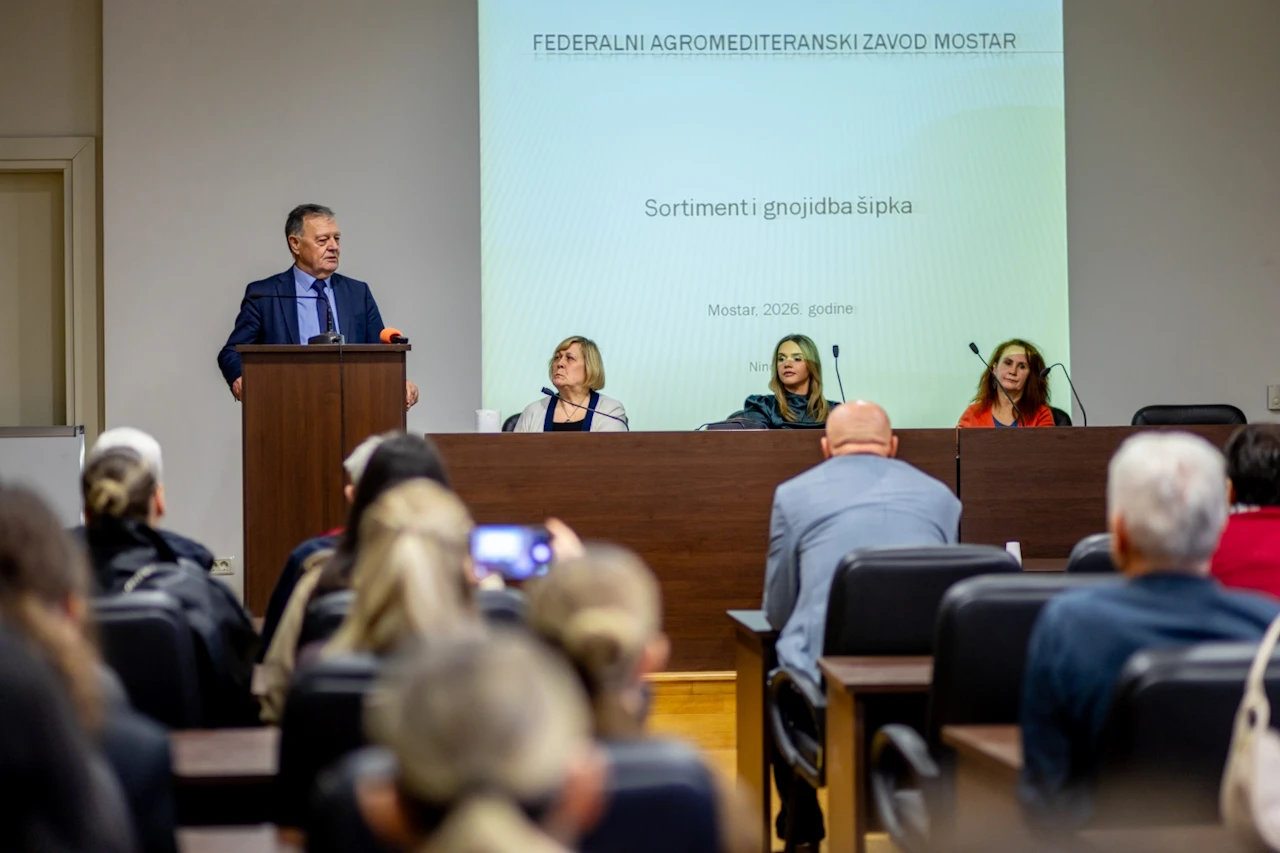 FOTO | Šipak u Hercegovini: Ima ga premalo, premalo je valoriziran i premalo se koristi