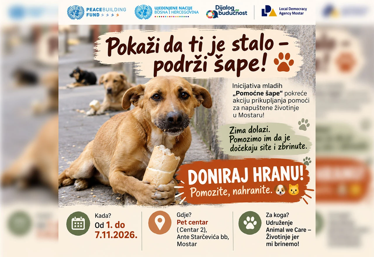 Mladi Mostara pokrenuli akciju pomoći napuštenim životinjama: Evo kako se možete uključiti