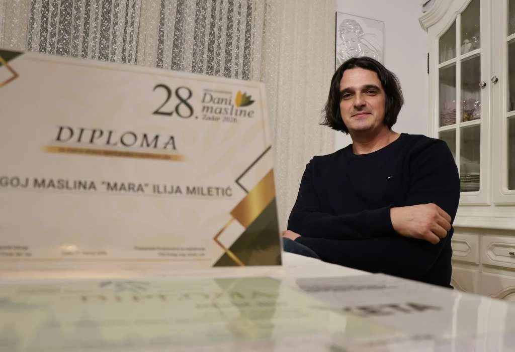 Ilija Miletić, maslinar iz Donjeg Velikog Ograđenika pokraj Čitluka