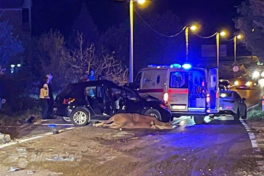 Sudar konja i automobila nedaleko od Mostara