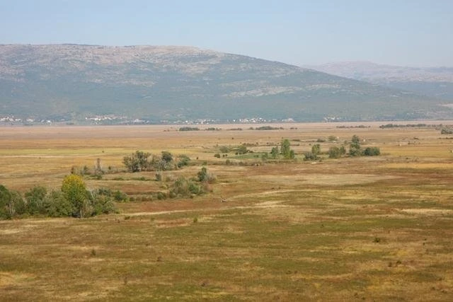 Inicijativa za zaštitu Livanjskoga polja, najvećeg vlažnog staništa u BiH