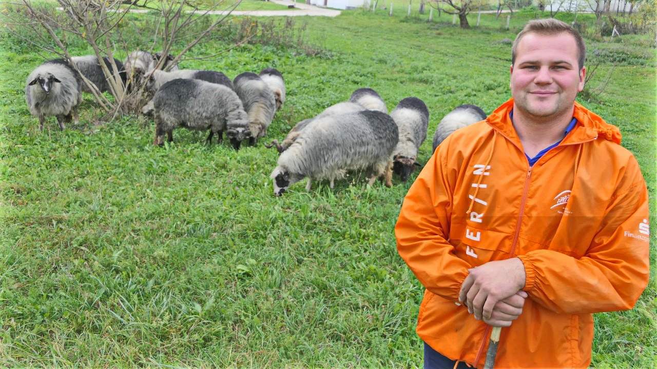 Najmlađi ovčar vidi perspektivu u ovčarstvu