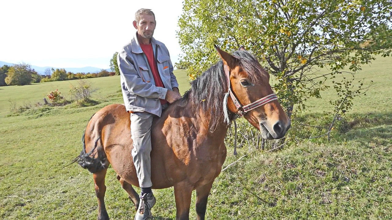 Jedini s konjima ostao u selu, za dnevnicu radi sve, oranje, frezanje...