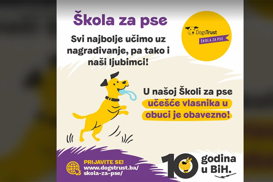 Dogs Trust pse i njihove vlasnike u Mostaru časti besplatnom obukom!