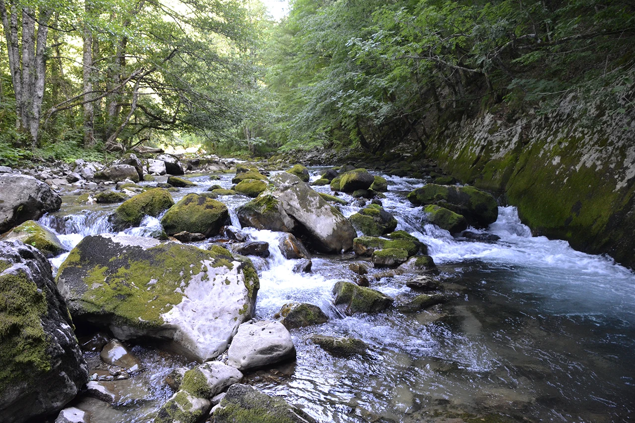 BiH se ne bi trebala suočiti s nestašicom vode
