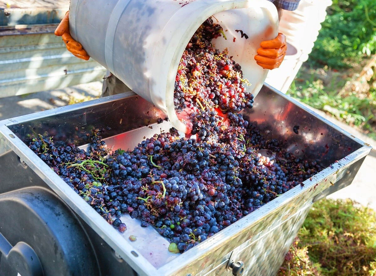 Uhićen i jedan iz BiH: U vino dodavali vodu i šećer