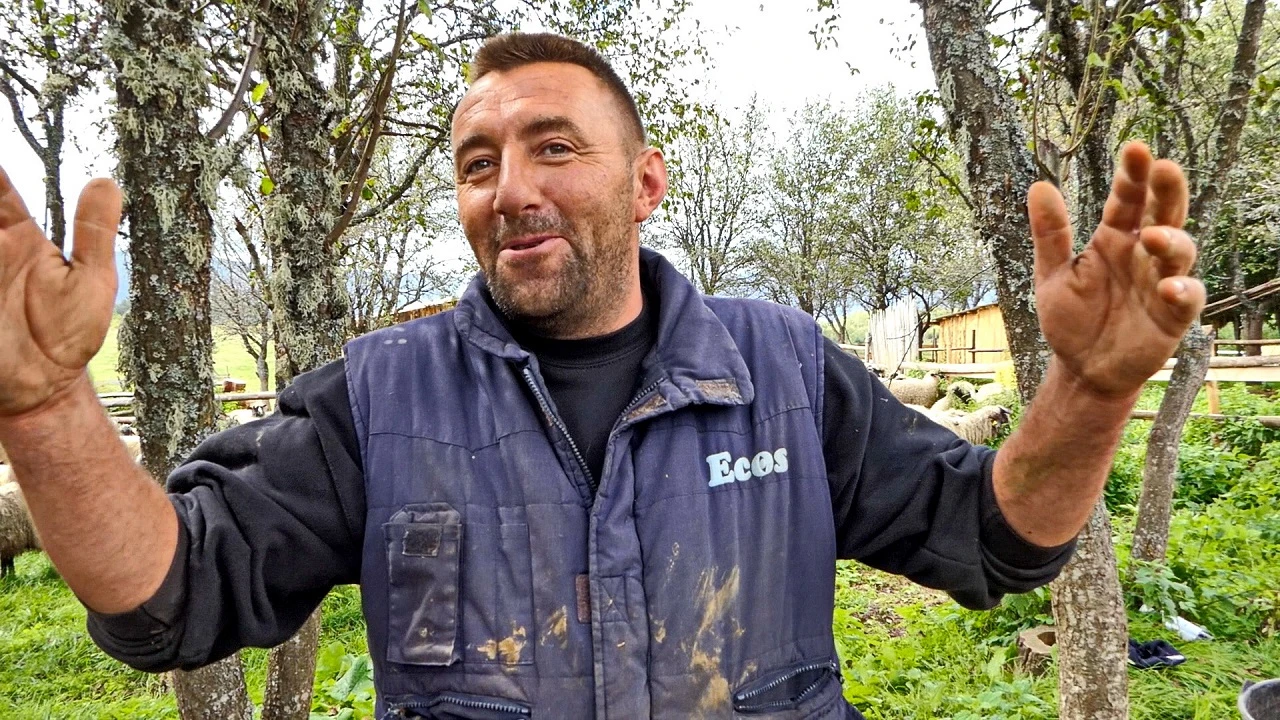 VIDEO: Vrijedni supružnici proizvedu 3 tone ovčijeg sira, 200 janjaca i 100 kurbana
