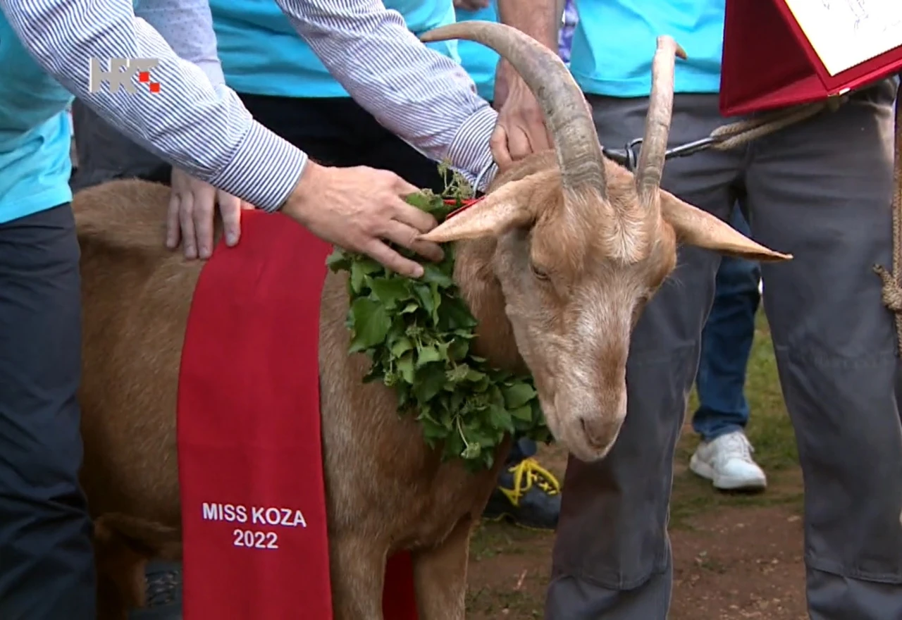 Hrvati izabrali: Roška je miss koza 2022.