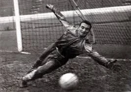 Preminuo Milutin Šoškić