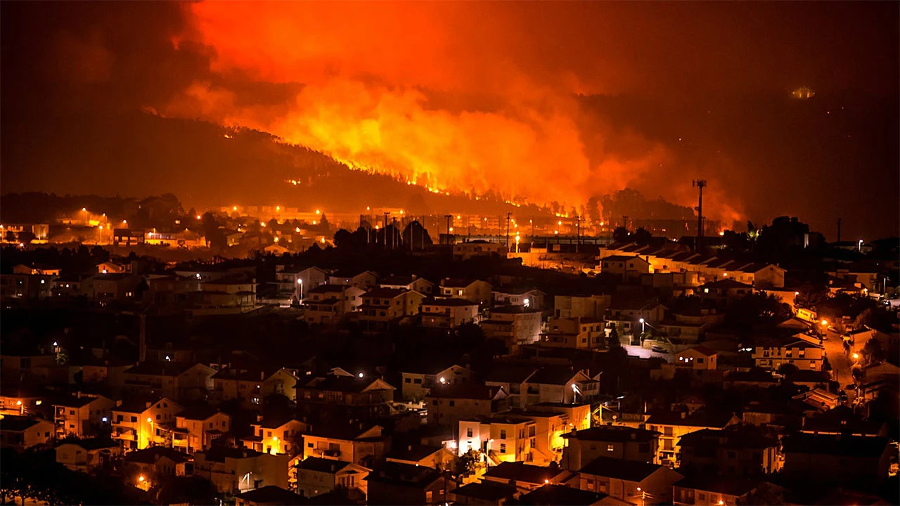 Zabrana ulaska u šume