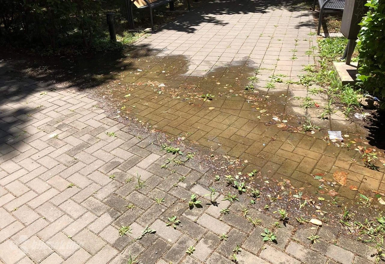 Mostar: Andrić i Prelog uživaju u opojnim mirisima