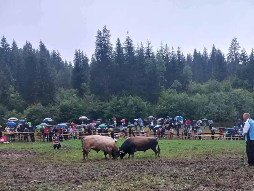 Medonja ''pomeo'' konkurenciju
