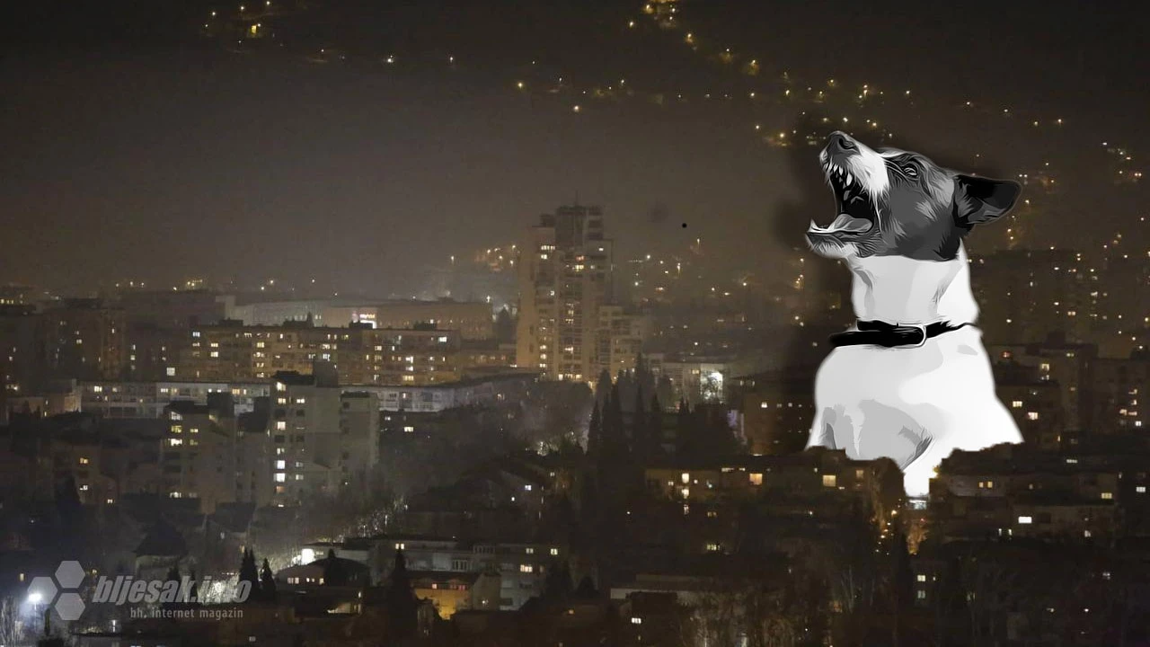 Nitko ne može ništa psu koji neprestano laje danju, noću, ujutro u tri sata, popodne, u ponoć, ljeti, zimi ... 