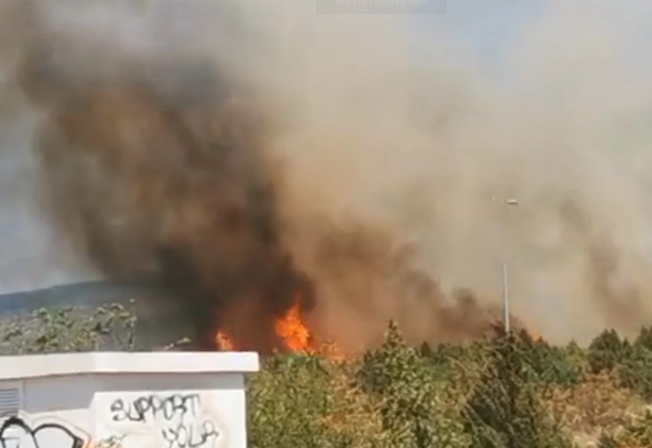 VIDEO | Novi požar u blizini Miljkovića