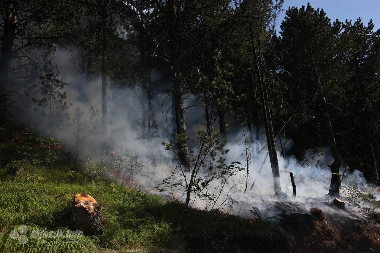Gori Čvrsnica: Gledamo u nebo i nadamo se kiši, nažalost, od toga za sada nema ništa