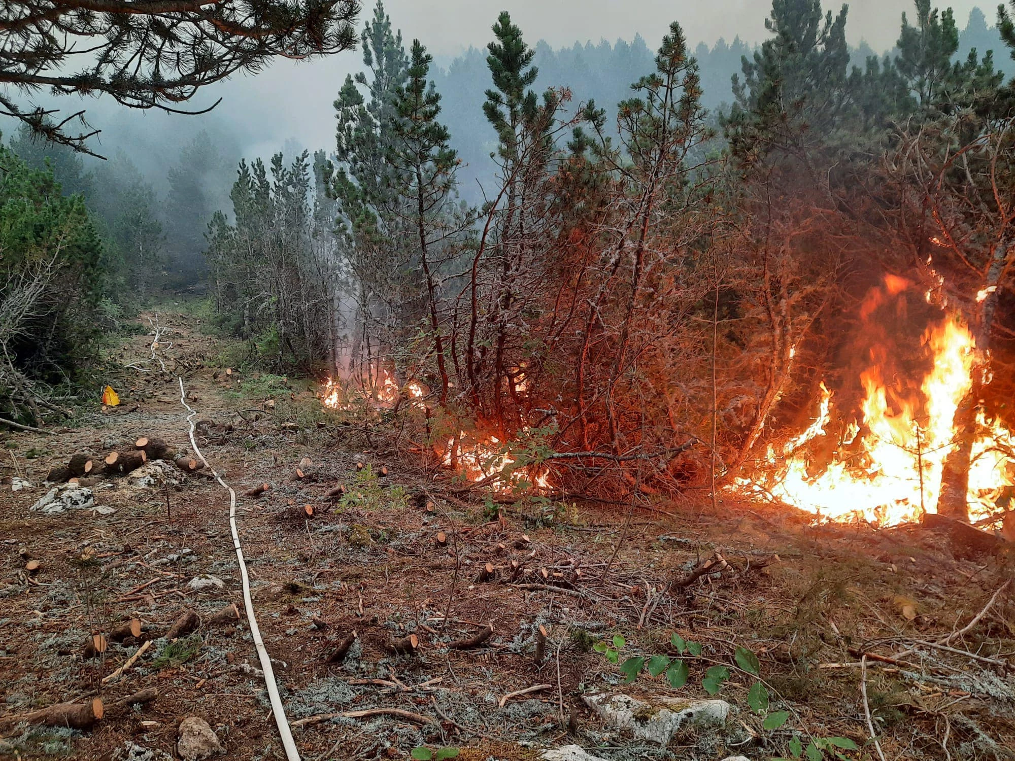 Čvrsnica i dalje gori, od dima se ne vidi planina