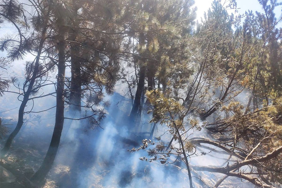 Na Blidinju do sada izgorjelo gotovo 100 hektara površine