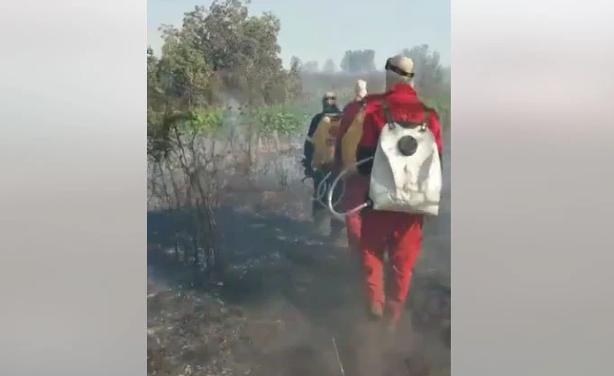 Obilaze se požarišta na području Čitluka, i dalje gori kod Konjica i na Blidinju