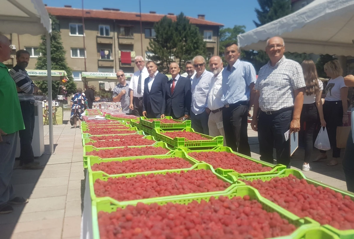 Potražnja za bh. malinama velika