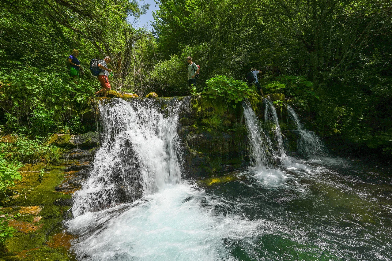 Brojne zaštićene i vrijedne vrste u Neretvi