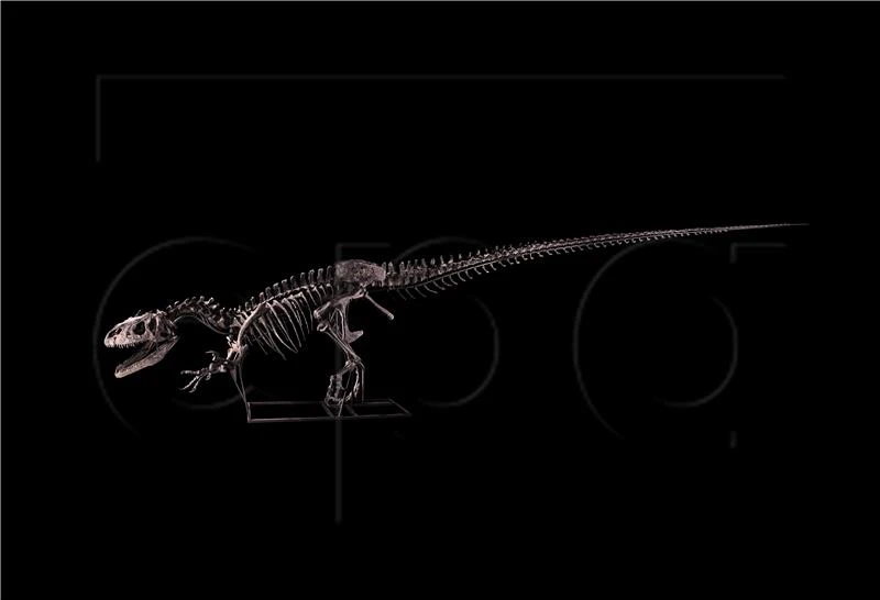 Kostur dinosaura mogao bi postići cijenu od 8 milijuna dolara