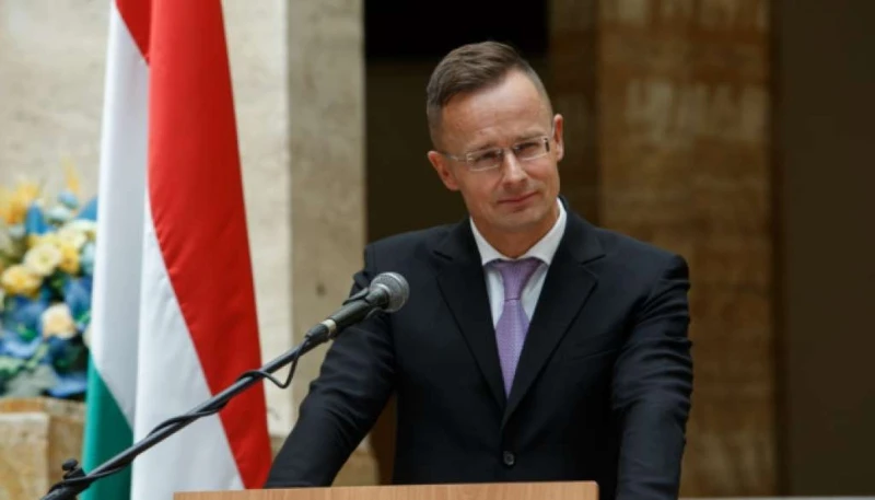 Sijarto: Sramota Bruxellesa je što BiH nije dodijeljen kandidatski status