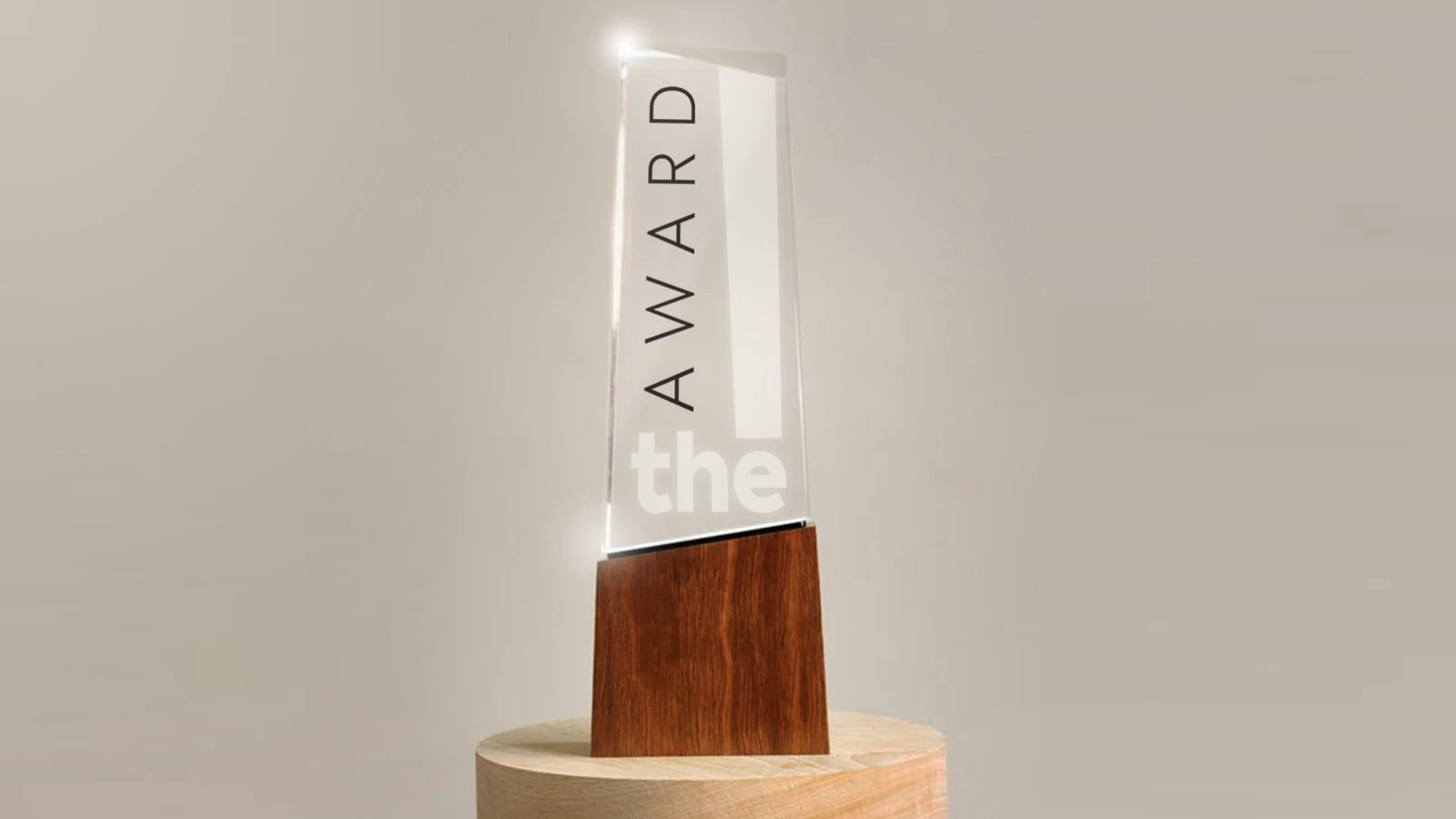 the! Award za komunikaciju Ženske Mentorske Mreže u Bosni i Hercegovini