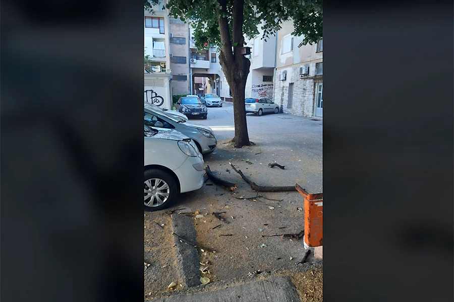 Ima li pomoći kad padaju grane na automobile?