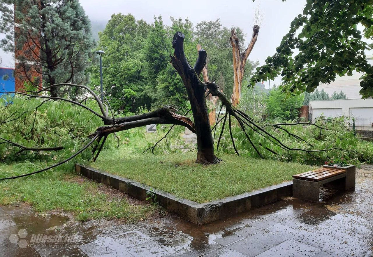 Udar groma uništio stablo u mostarskom naselju Vatikan