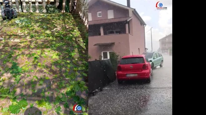 Tuča u Sovićima uništila vinograde